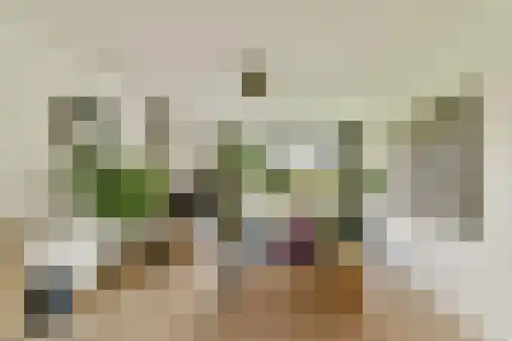 van Leeuwenstraat 46 Voorburg thumbnail 14