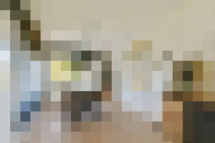 van Leeuwenstraat 46 Voorburg thumbnail 15