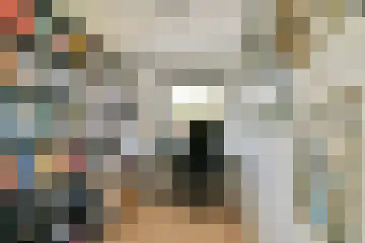 van Leeuwenstraat 46 Voorburg thumbnail 18