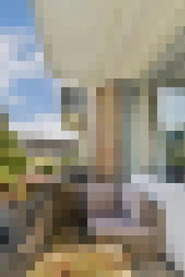 van Leeuwenstraat 46 Voorburg thumbnail 22