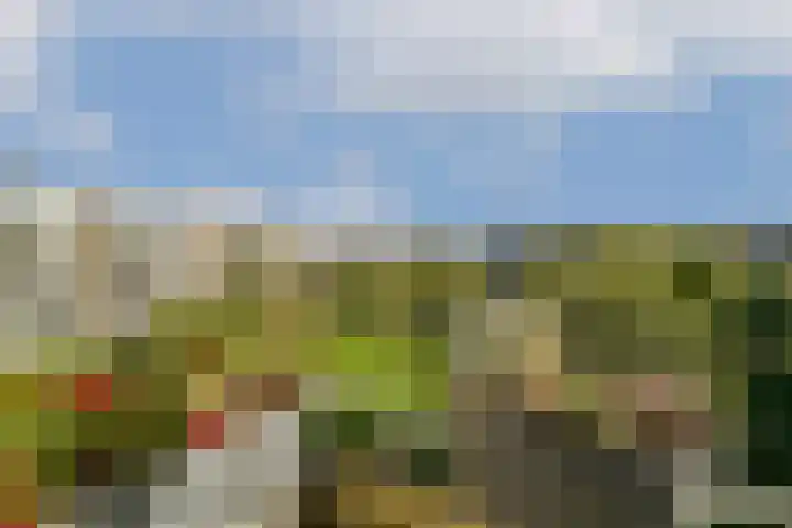 van Leeuwenstraat 46 Voorburg thumbnail 23