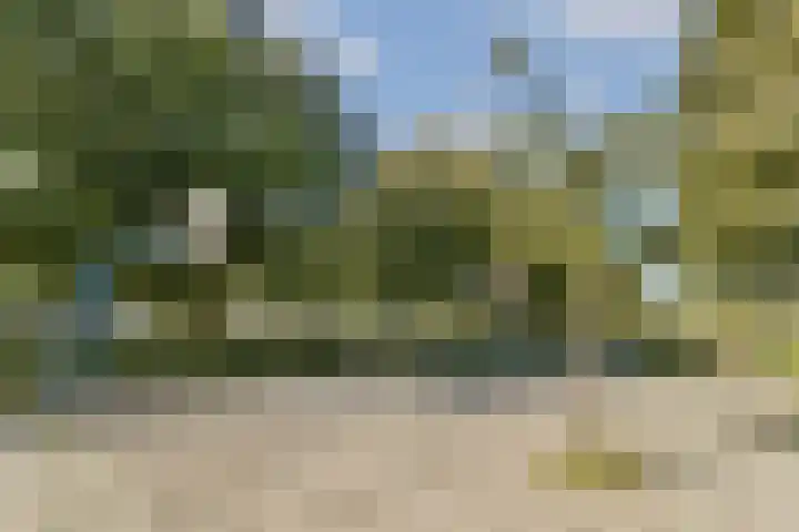 van Leeuwenstraat 46 Voorburg thumbnail 31