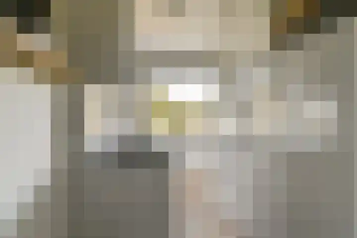 van Leeuwenstraat 46 Voorburg thumbnail 4