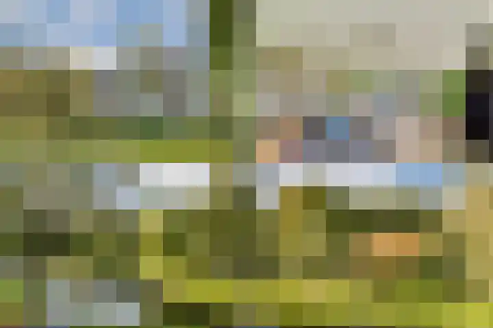 van Leeuwenstraat 46 Voorburg thumbnail 6