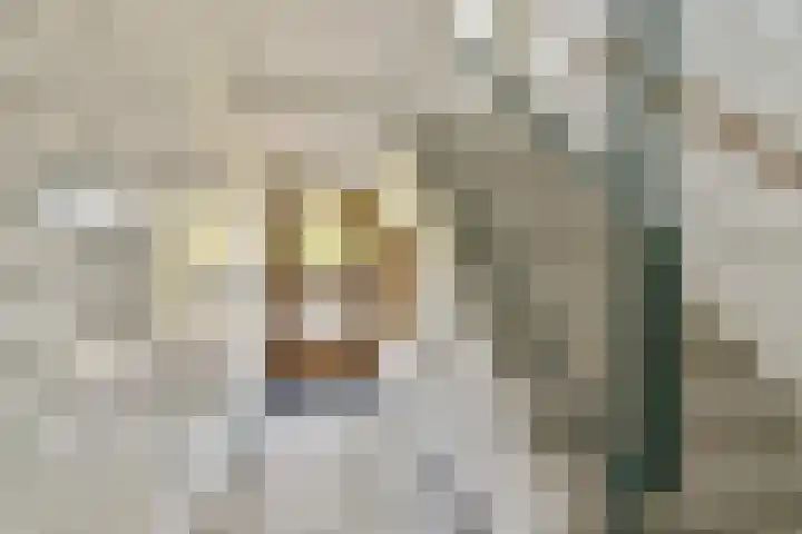 van Leeuwenstraat 46 Voorburg thumbnail 8