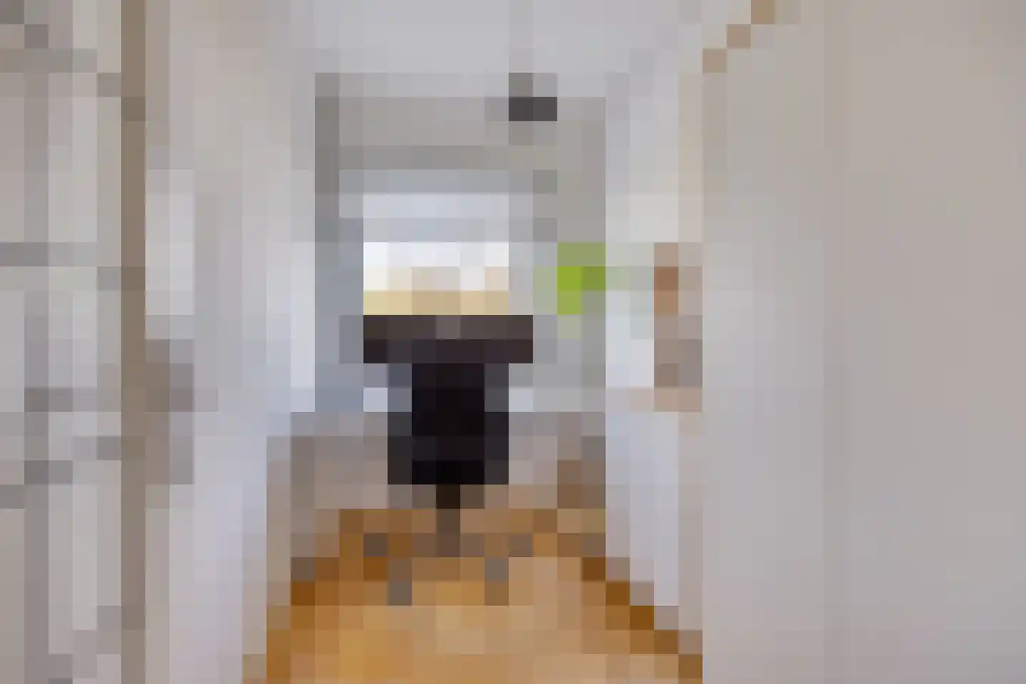 van Leeuwenstraat 51 Voorburg thumbnail 12