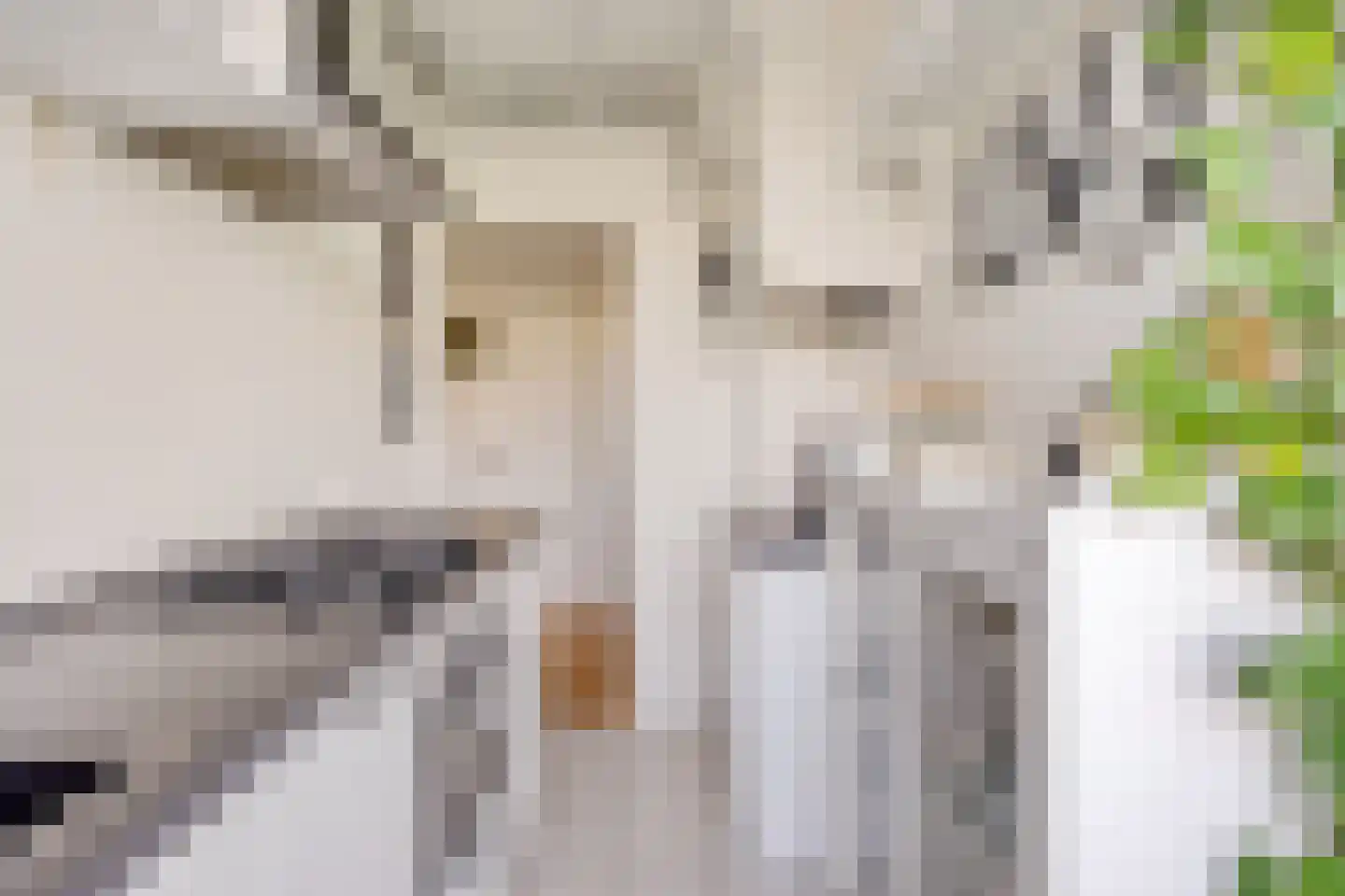 van Leeuwenstraat 51 Voorburg thumbnail 13