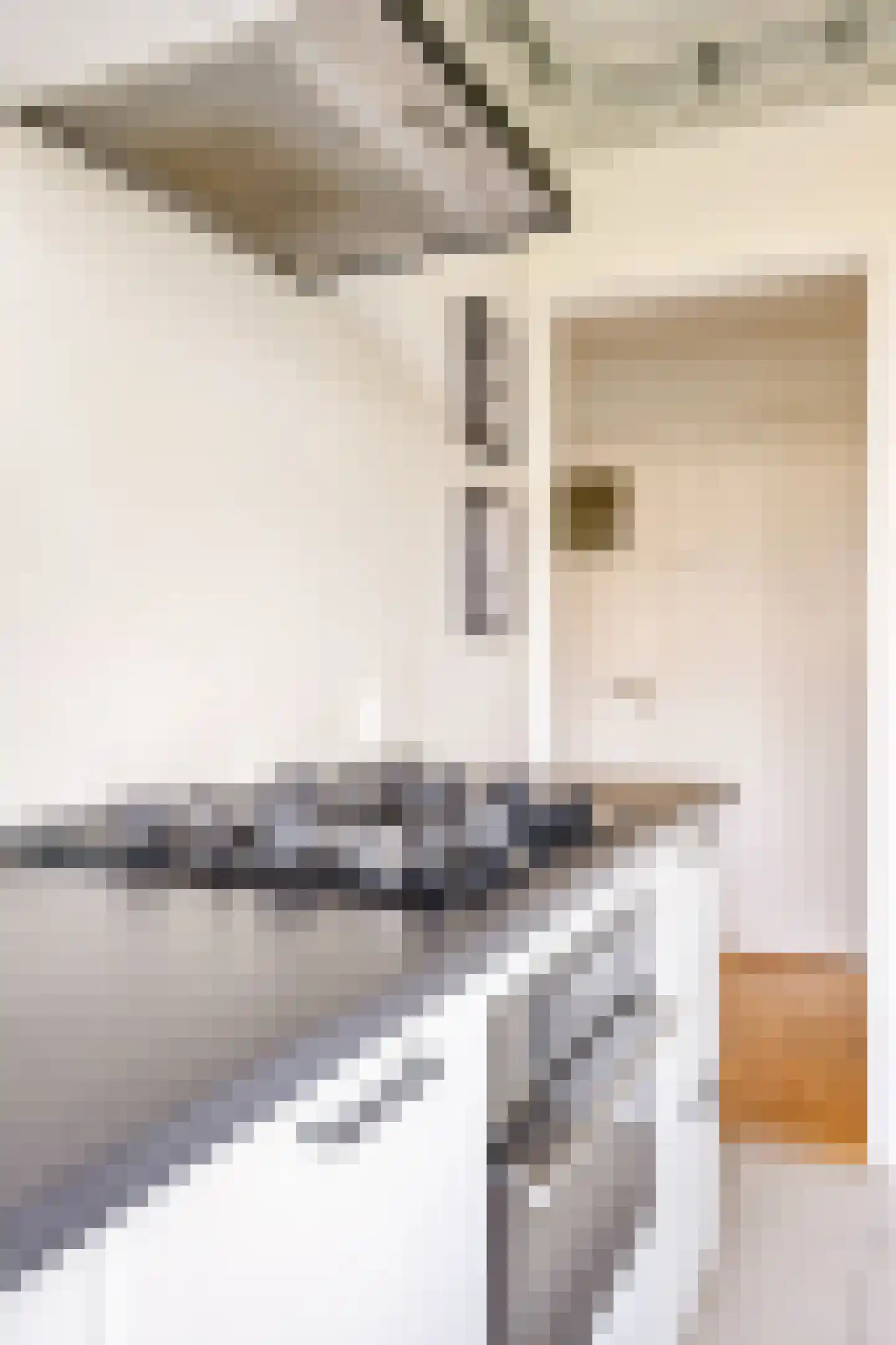 van Leeuwenstraat 51 Voorburg thumbnail 14