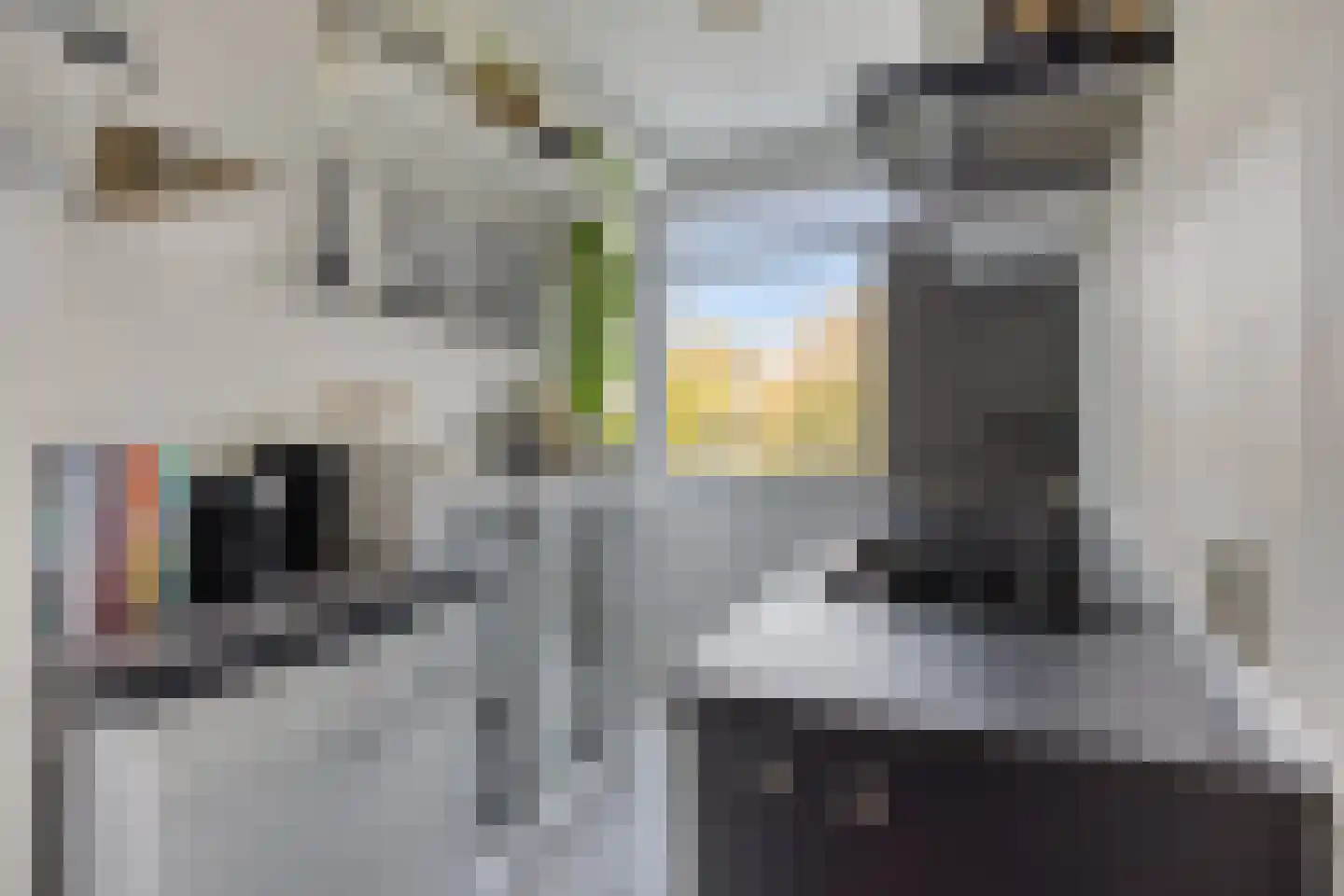 van Leeuwenstraat 51 Voorburg thumbnail 16