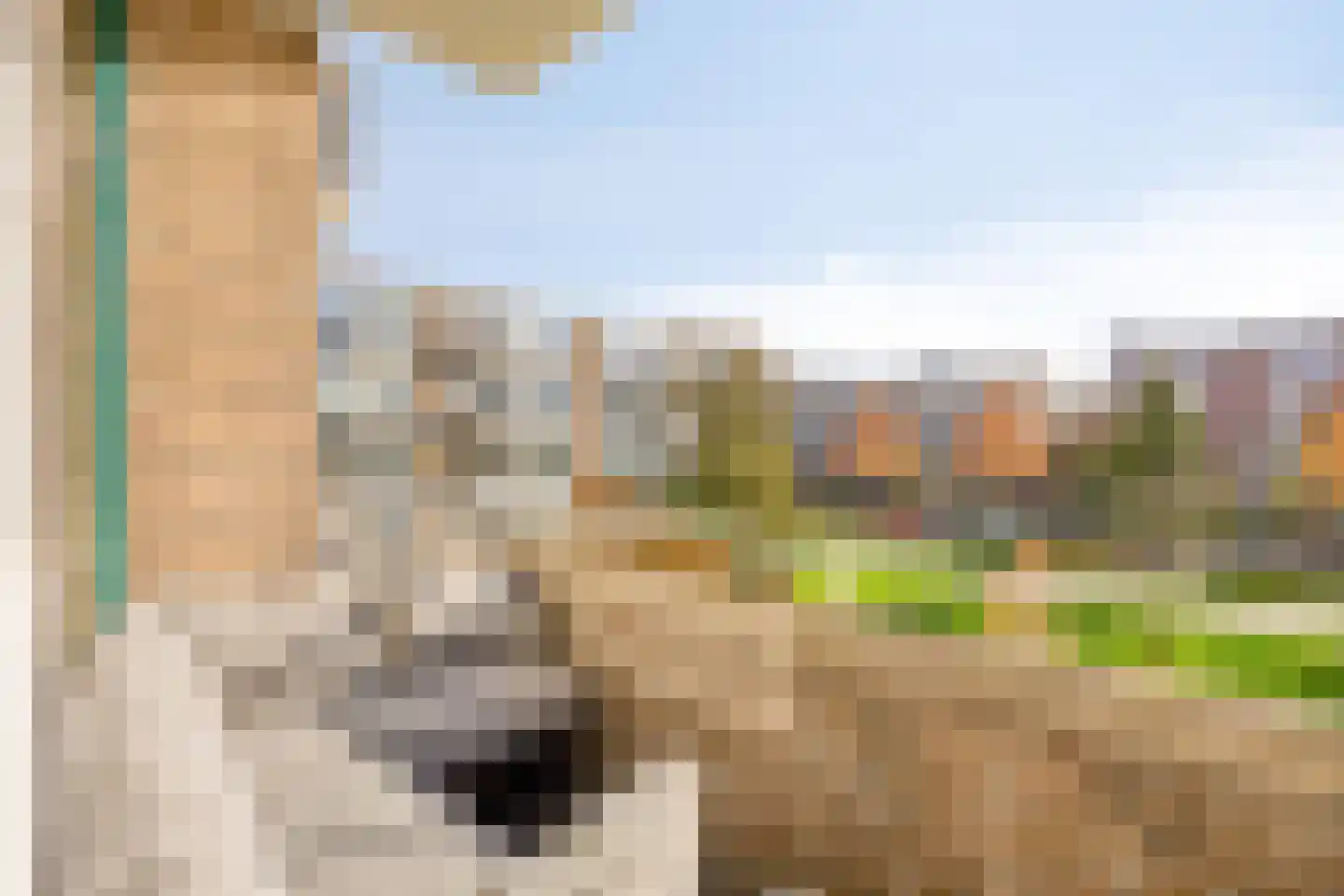 van Leeuwenstraat 51 Voorburg thumbnail 19