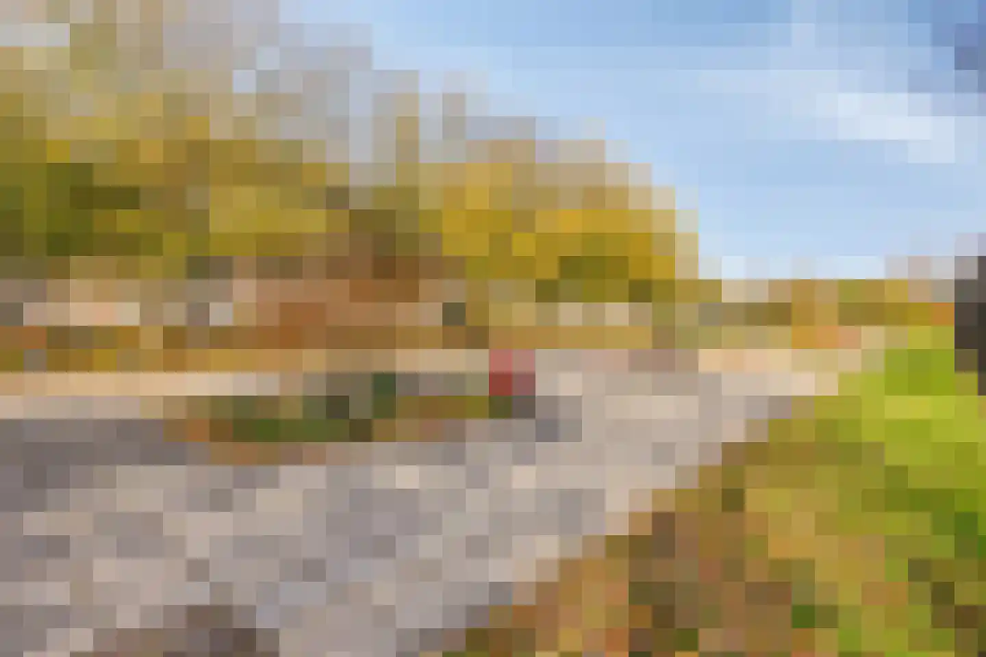 van Leeuwenstraat 51 Voorburg thumbnail 24