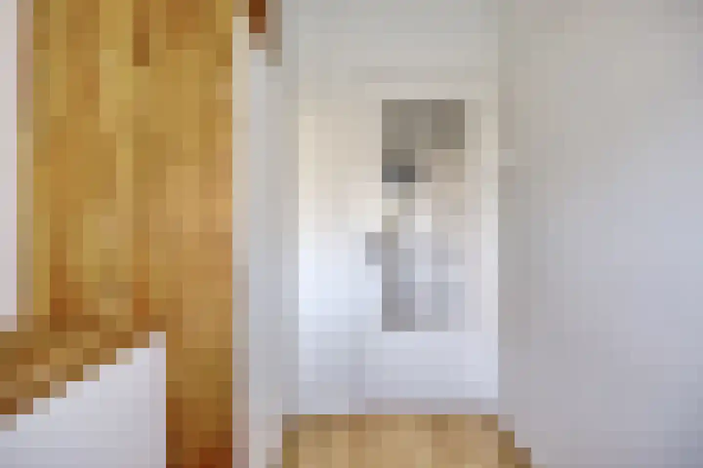 van Leeuwenstraat 51 Voorburg thumbnail 26
