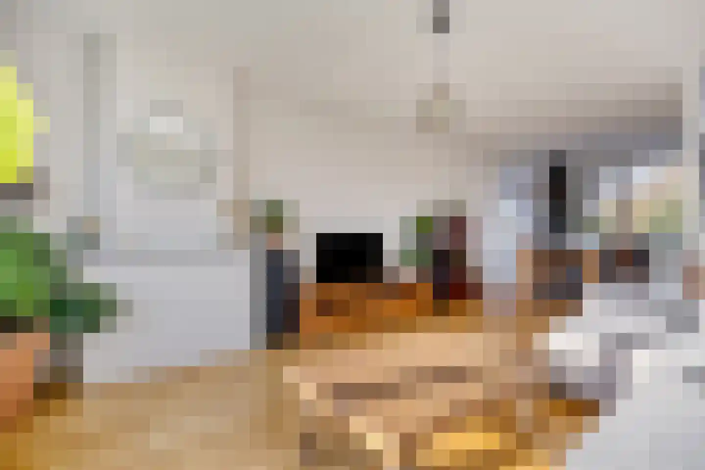 van Leeuwenstraat 51 Voorburg thumbnail 30