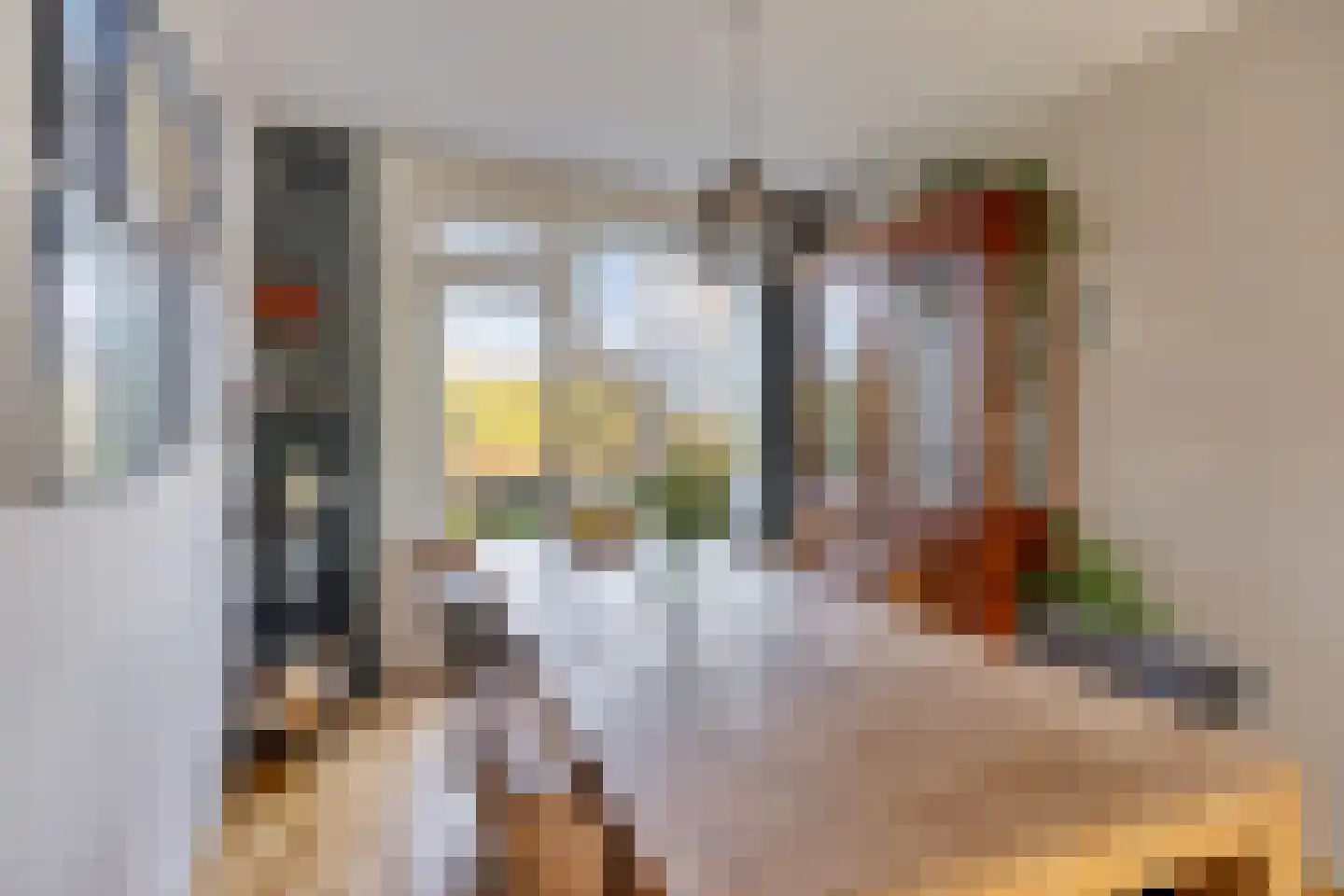 van Leeuwenstraat 51 Voorburg thumbnail 31