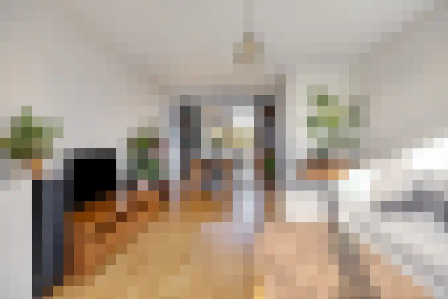 van Leeuwenstraat 51 Voorburg thumbnail 33