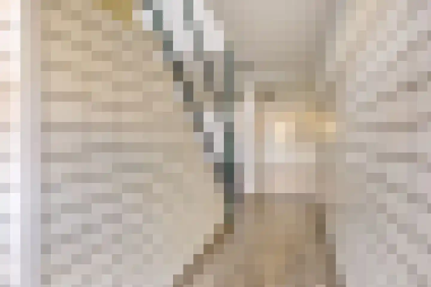 van Leeuwenstraat 51 Voorburg thumbnail 35