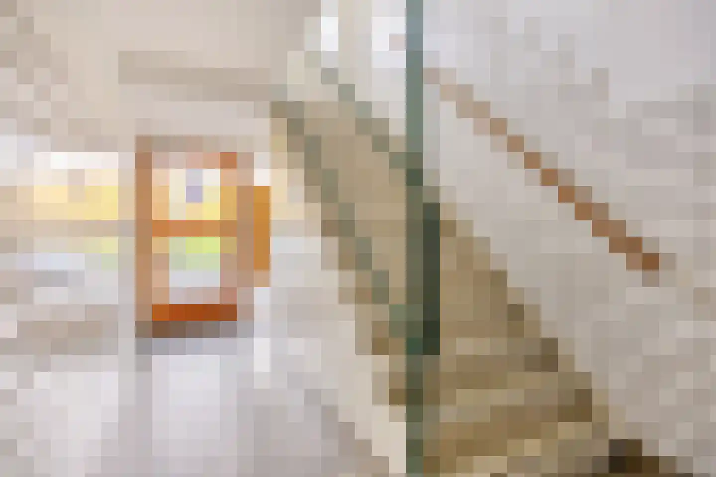 van Leeuwenstraat 51 Voorburg thumbnail 36