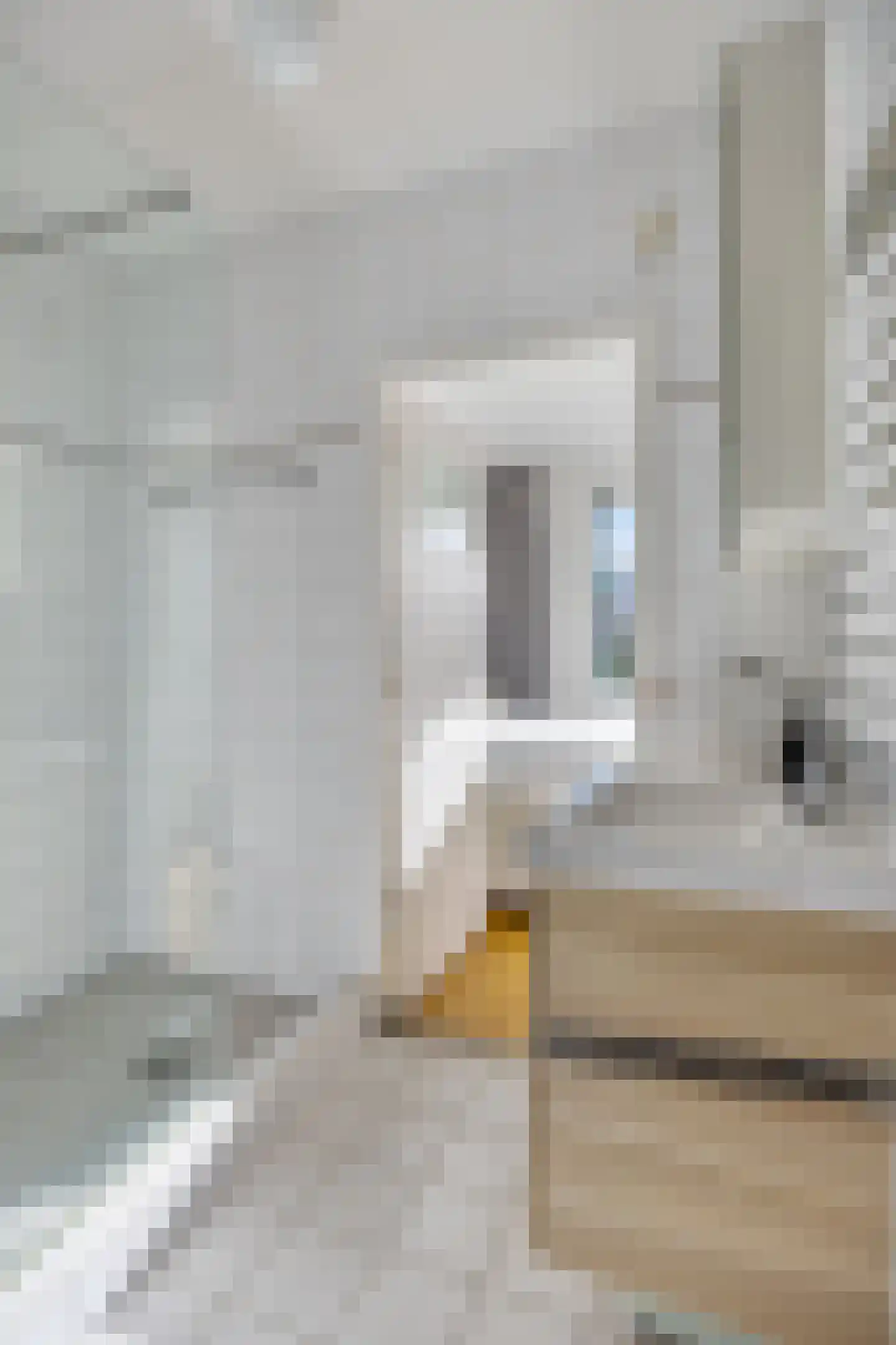 van Leeuwenstraat 51 Voorburg thumbnail 5