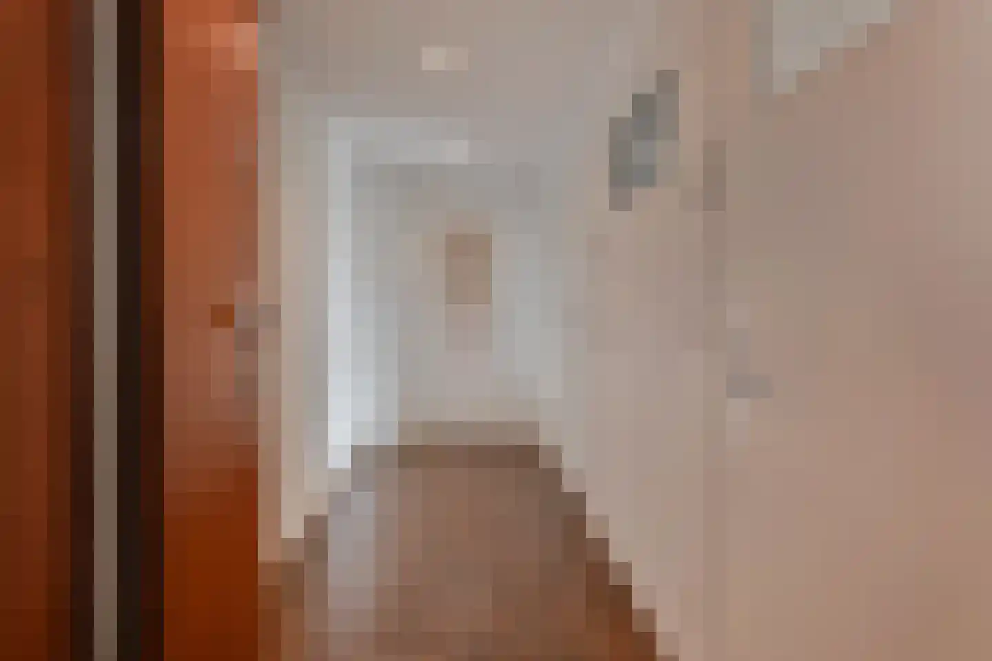 van Leeuwenstraat 56 Voorburg thumbnail 12