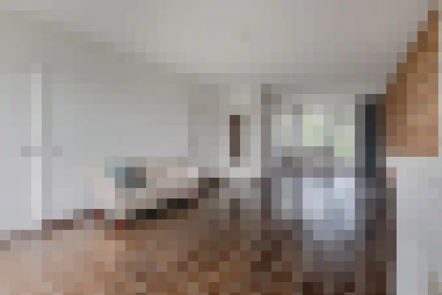 van Leeuwenstraat 56 Voorburg thumbnail 18