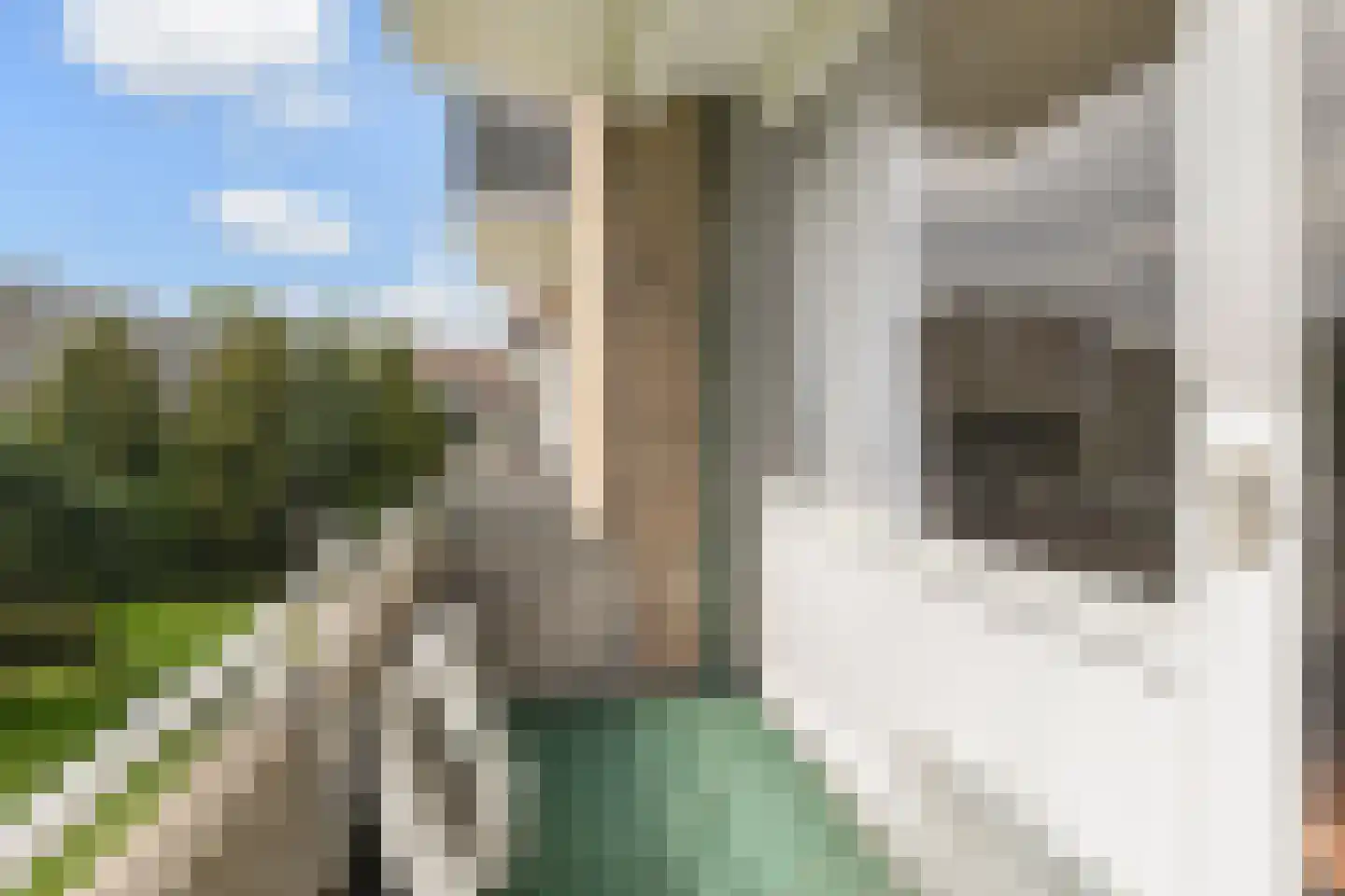 van Leeuwenstraat 56 Voorburg thumbnail 23