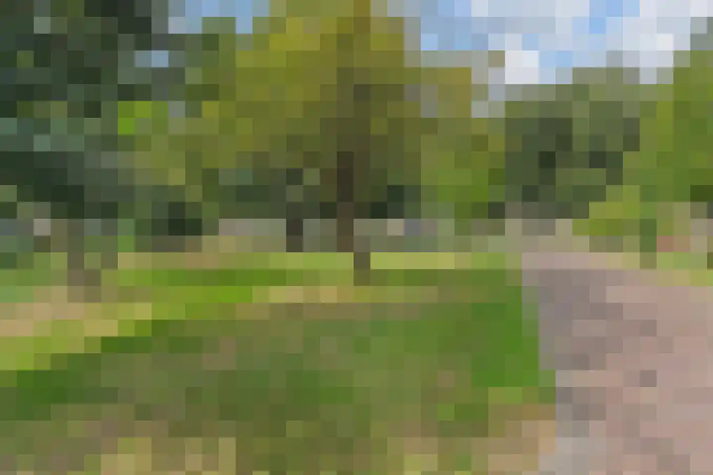 van Leeuwenstraat 56 Voorburg thumbnail 24