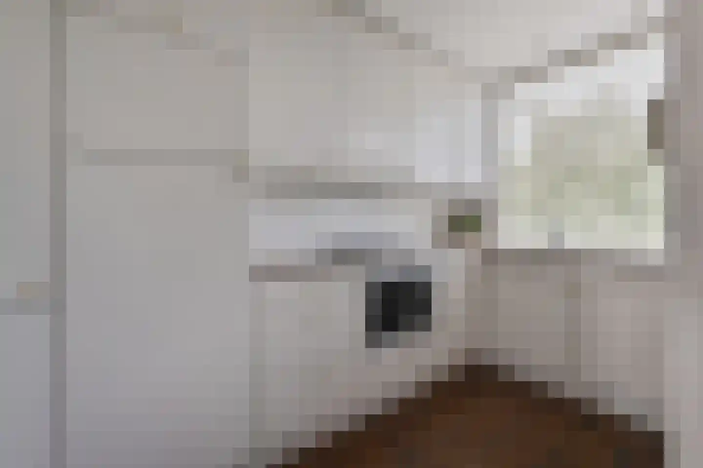 van Leeuwenstraat 56 Voorburg thumbnail 5