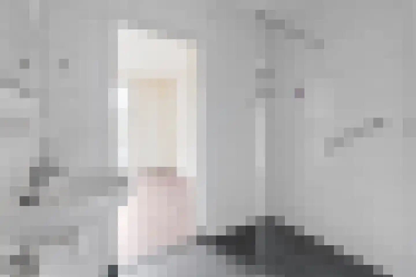 van Leeuwenstraat 57 Voorburg thumbnail 22