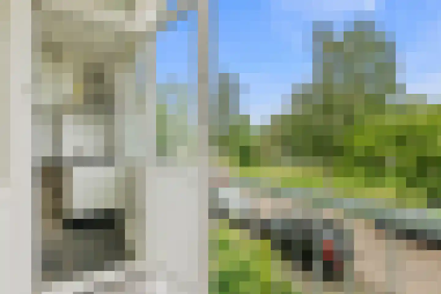 van Leeuwenstraat 57 Voorburg thumbnail 30