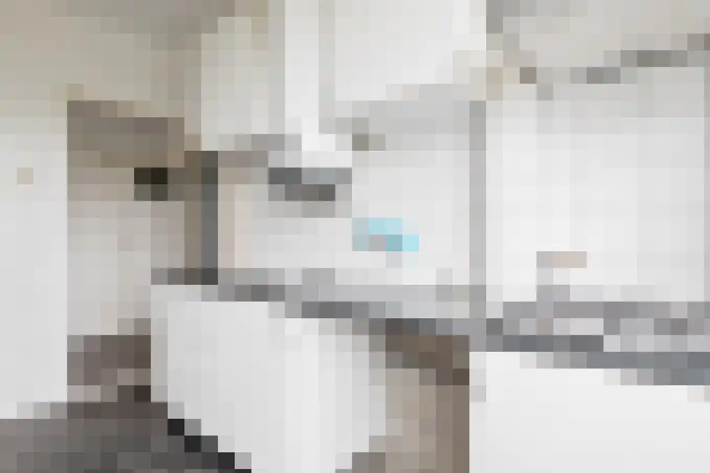 van Leeuwenstraat 57 Voorburg thumbnail 5