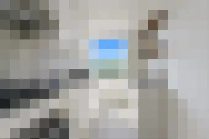 van Leeuwenstraat 63 Voorburg thumbnail 18