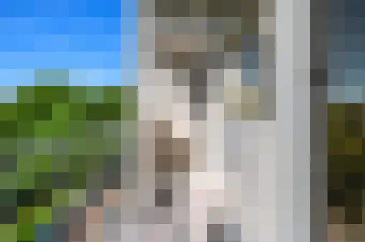 van Leeuwenstraat 63 Voorburg thumbnail 20