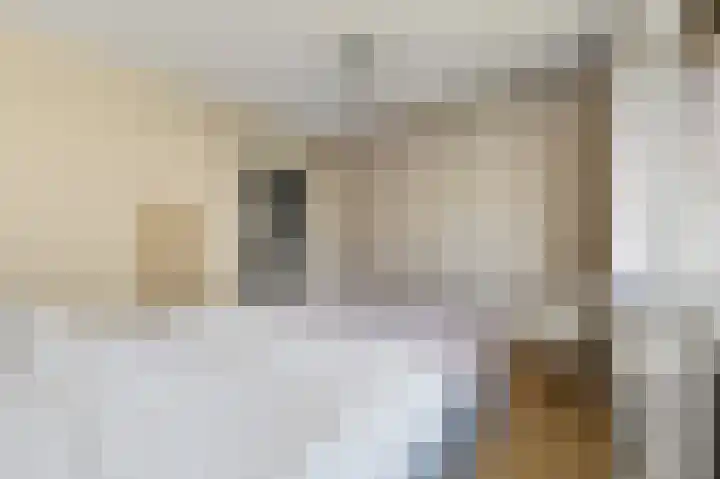 van Leeuwenstraat 63 Voorburg thumbnail 33