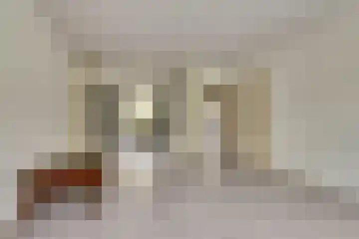 van Leeuwenstraat 99 Voorburg thumbnail 11