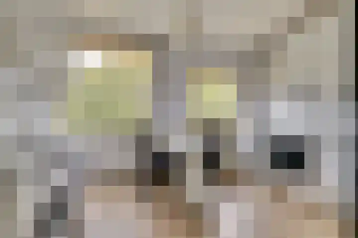 van Leeuwenstraat 99 Voorburg thumbnail 16