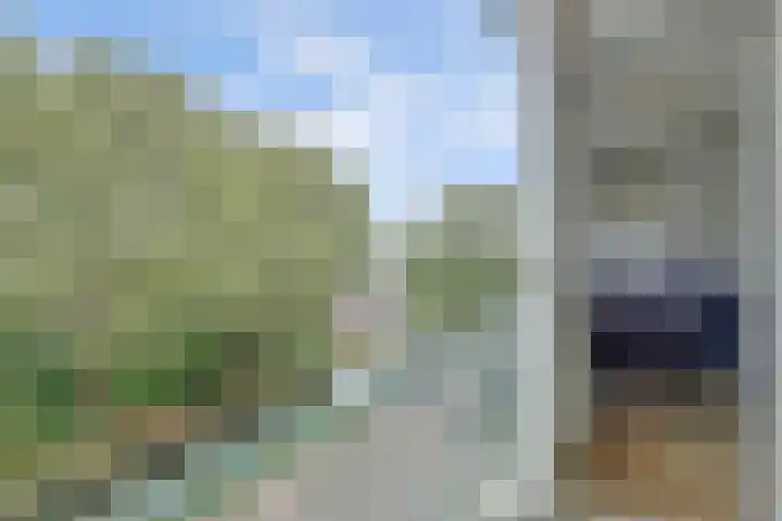 van Leeuwenstraat 99 Voorburg thumbnail 19