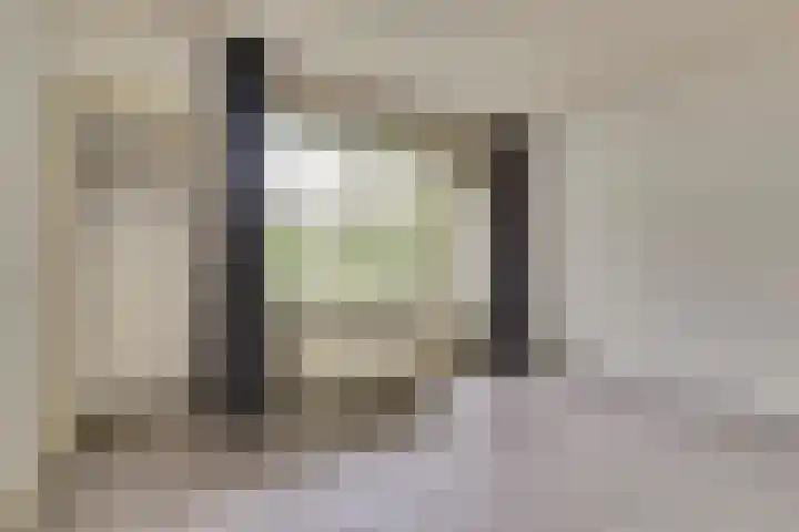 van Leeuwenstraat 99 Voorburg thumbnail 23