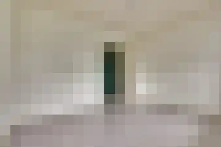 van Leeuwenstraat 99 Voorburg thumbnail 24