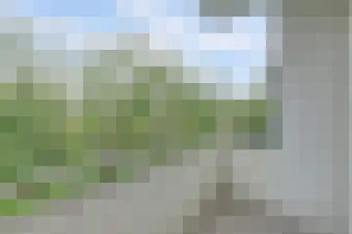 van Leeuwenstraat 99 Voorburg thumbnail 26