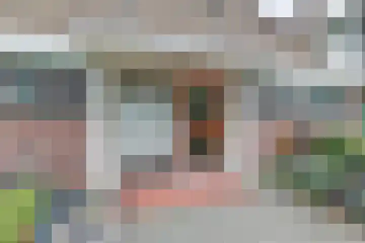 van Leeuwenstraat 99 Voorburg thumbnail 4