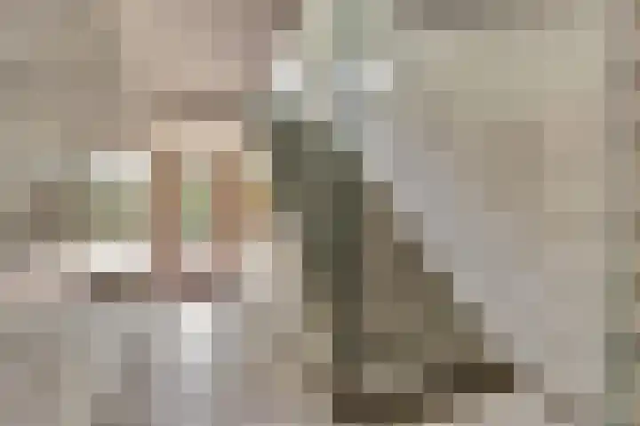 van Leeuwenstraat 99 Voorburg thumbnail 5
