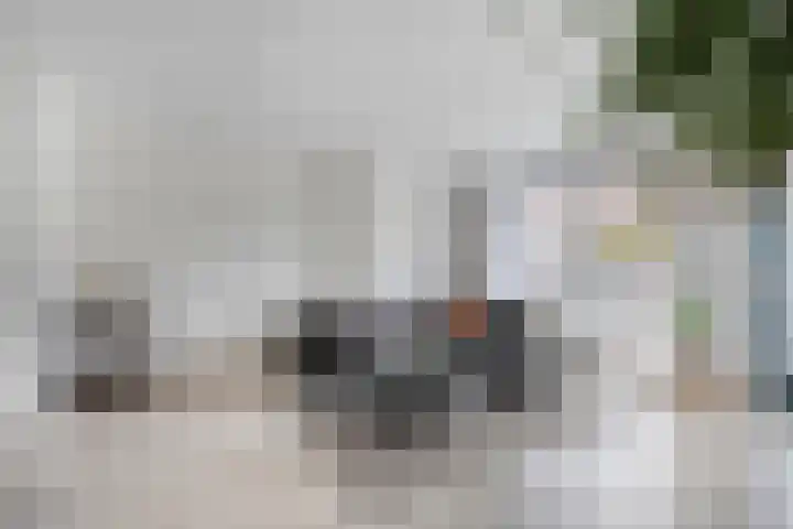 Van Leeuwtemarke 14 Zwolle thumbnail 13
