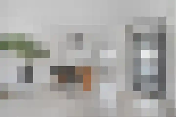 Van Leeuwtemarke 14 Zwolle thumbnail 14