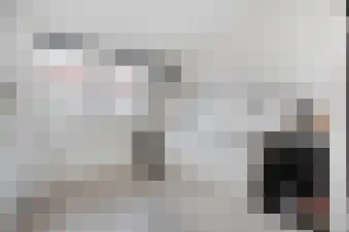 Van Leeuwtemarke 14 Zwolle thumbnail 16
