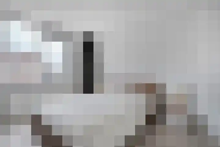 Van Leeuwtemarke 14 Zwolle thumbnail 19