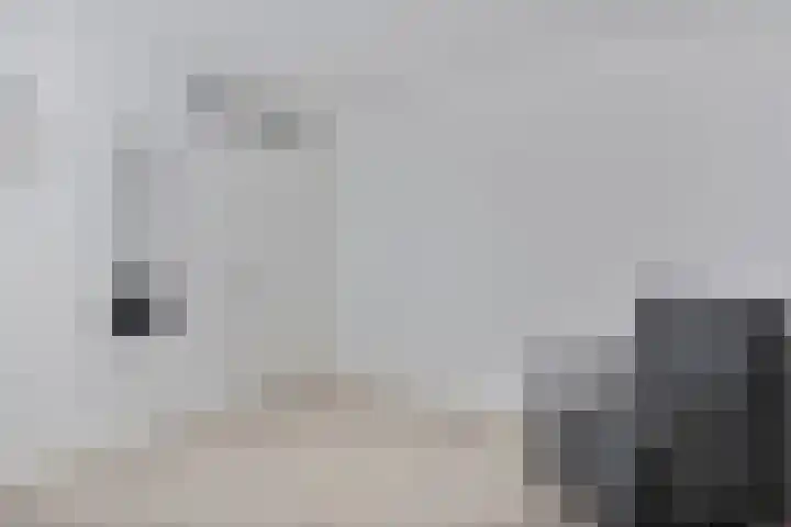 Van Leeuwtemarke 14 Zwolle thumbnail 21