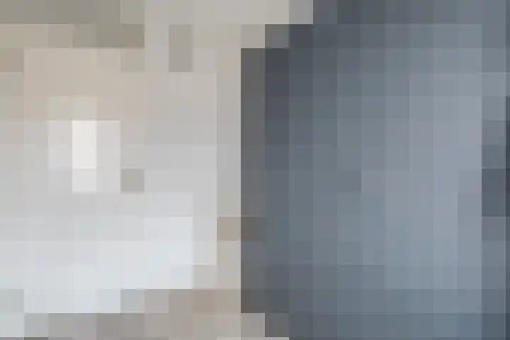 Van Leeuwtemarke 14 Zwolle thumbnail 24