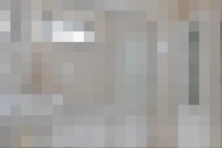 Van Leeuwtemarke 14 Zwolle thumbnail 25