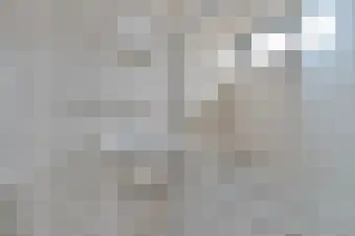 Van Leeuwtemarke 14 Zwolle thumbnail 26