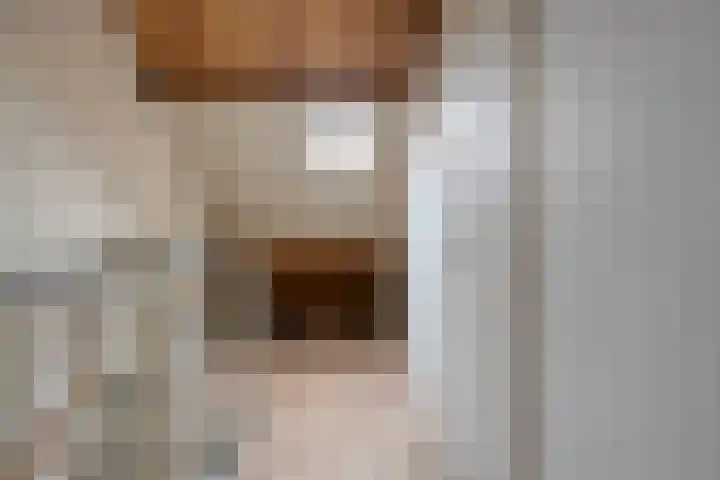 Van Leeuwtemarke 14 Zwolle thumbnail 27